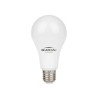 LAMPADA LED  BULBO 12W BLUMENAU 6500K